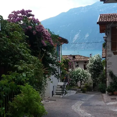 Alice Nel Paese Delle Meraviglie Гавардо