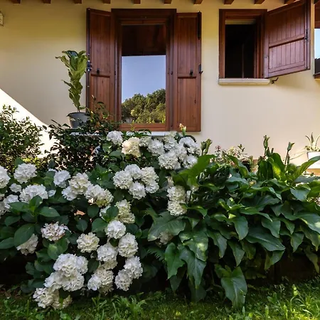 Alice Nel Paese Delle Meraviglie Bed & Breakfast Gavardo