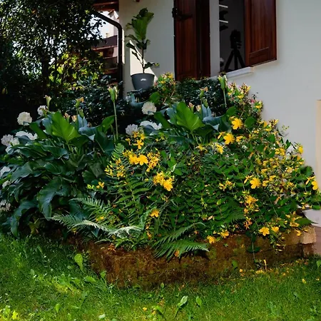 Alice Nel Paese Delle Meraviglie Bed & Breakfast