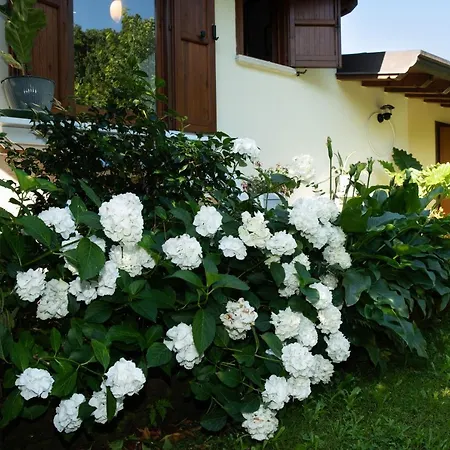 Alice Nel Paese Delle Meraviglie Bed & Breakfast